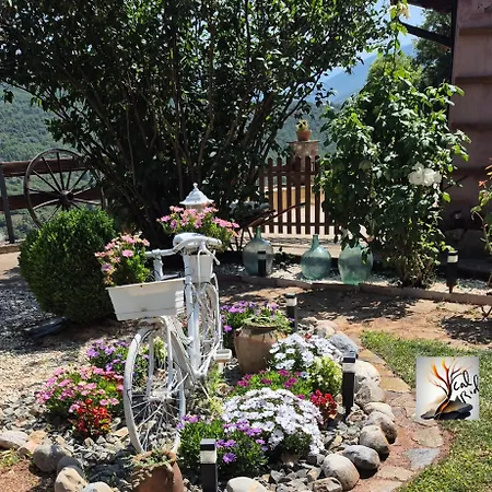 Apartament Cal Riol *